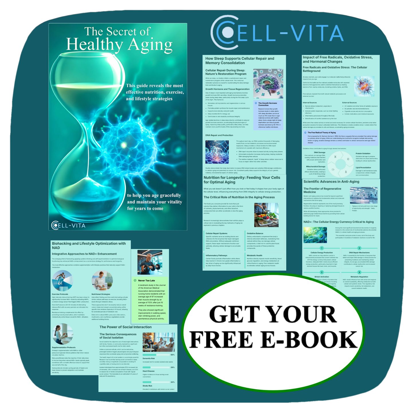 Cell-Vita NAD+ Advanced -  Life Supplement  - 60 Capsules